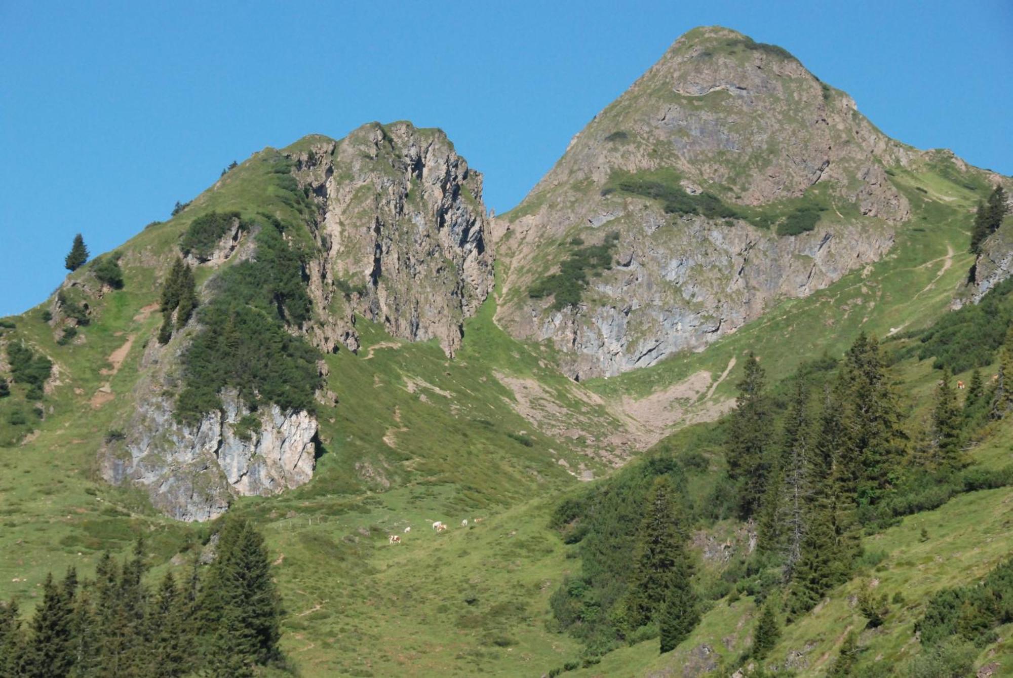 Erbhof Hinterrain Villa Leogang Dış mekan fotoğraf