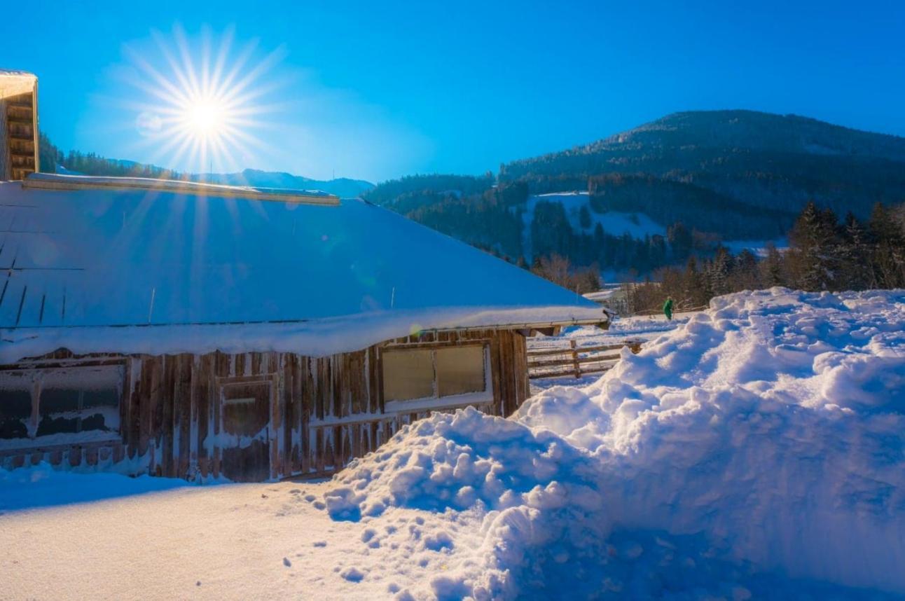 Erbhof Hinterrain Villa Leogang Dış mekan fotoğraf