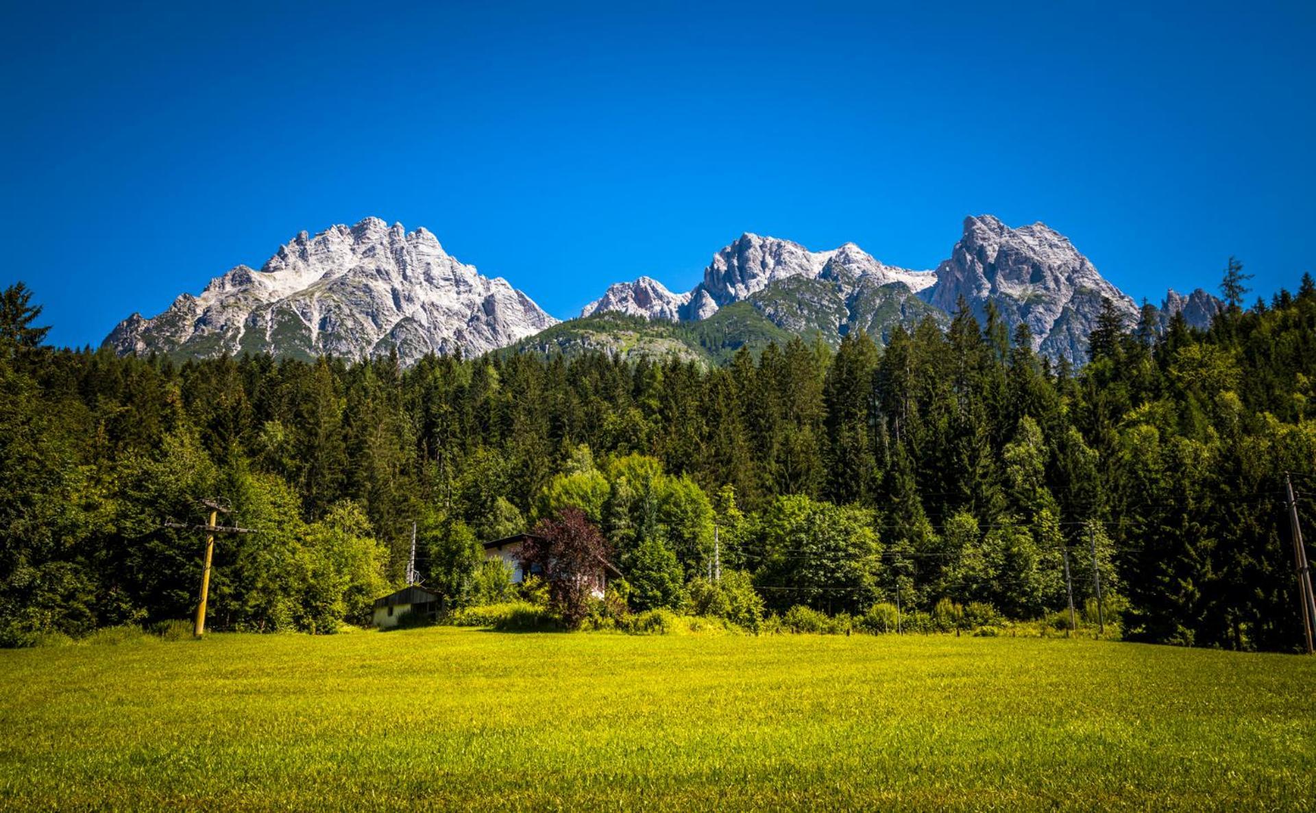 Erbhof Hinterrain Villa Leogang Dış mekan fotoğraf