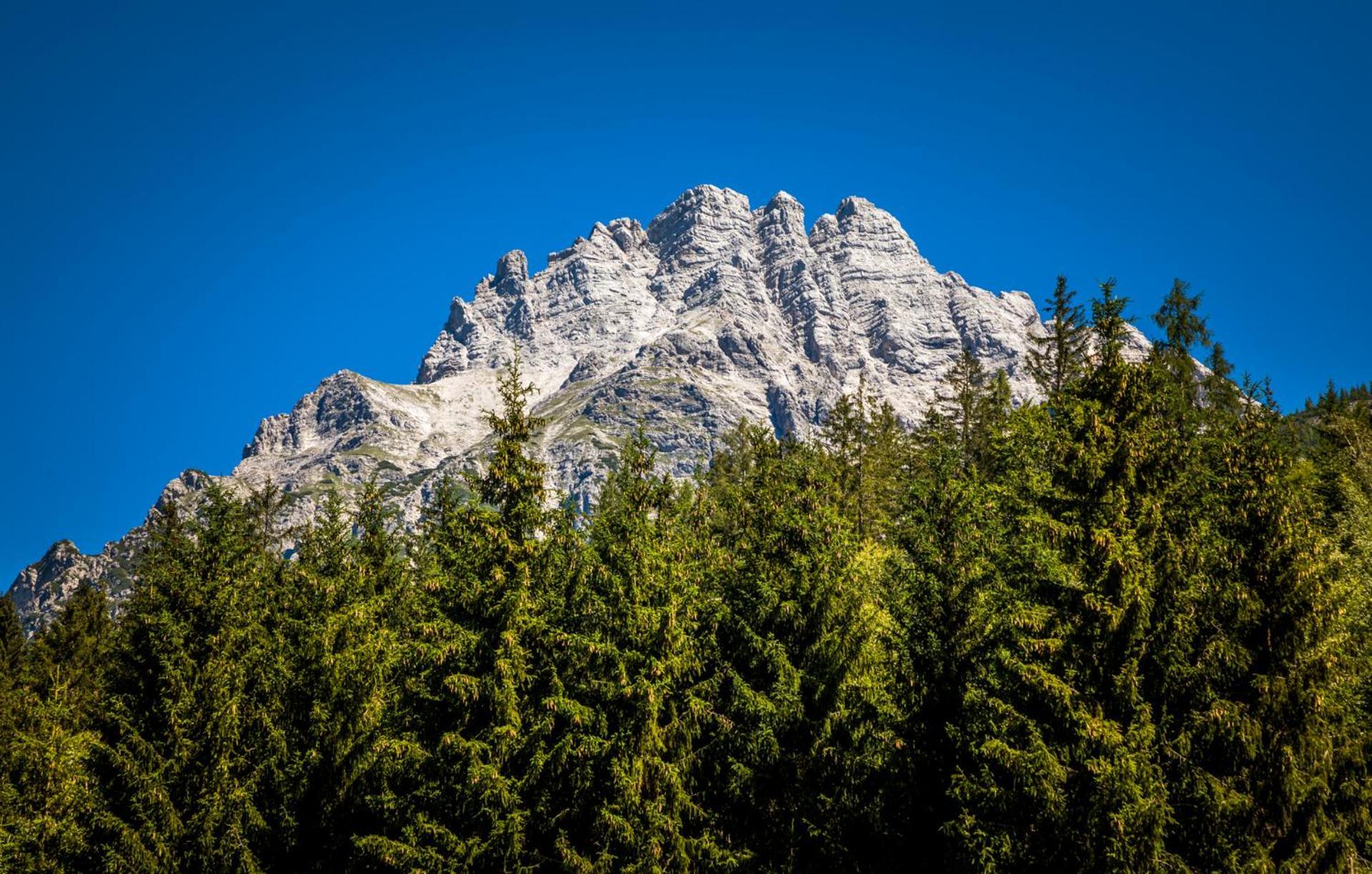 Erbhof Hinterrain Villa Leogang Dış mekan fotoğraf