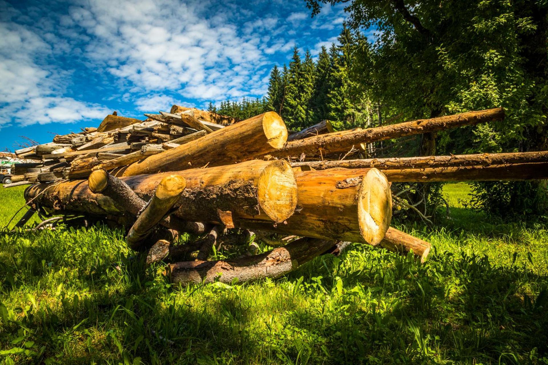 Erbhof Hinterrain Villa Leogang Dış mekan fotoğraf