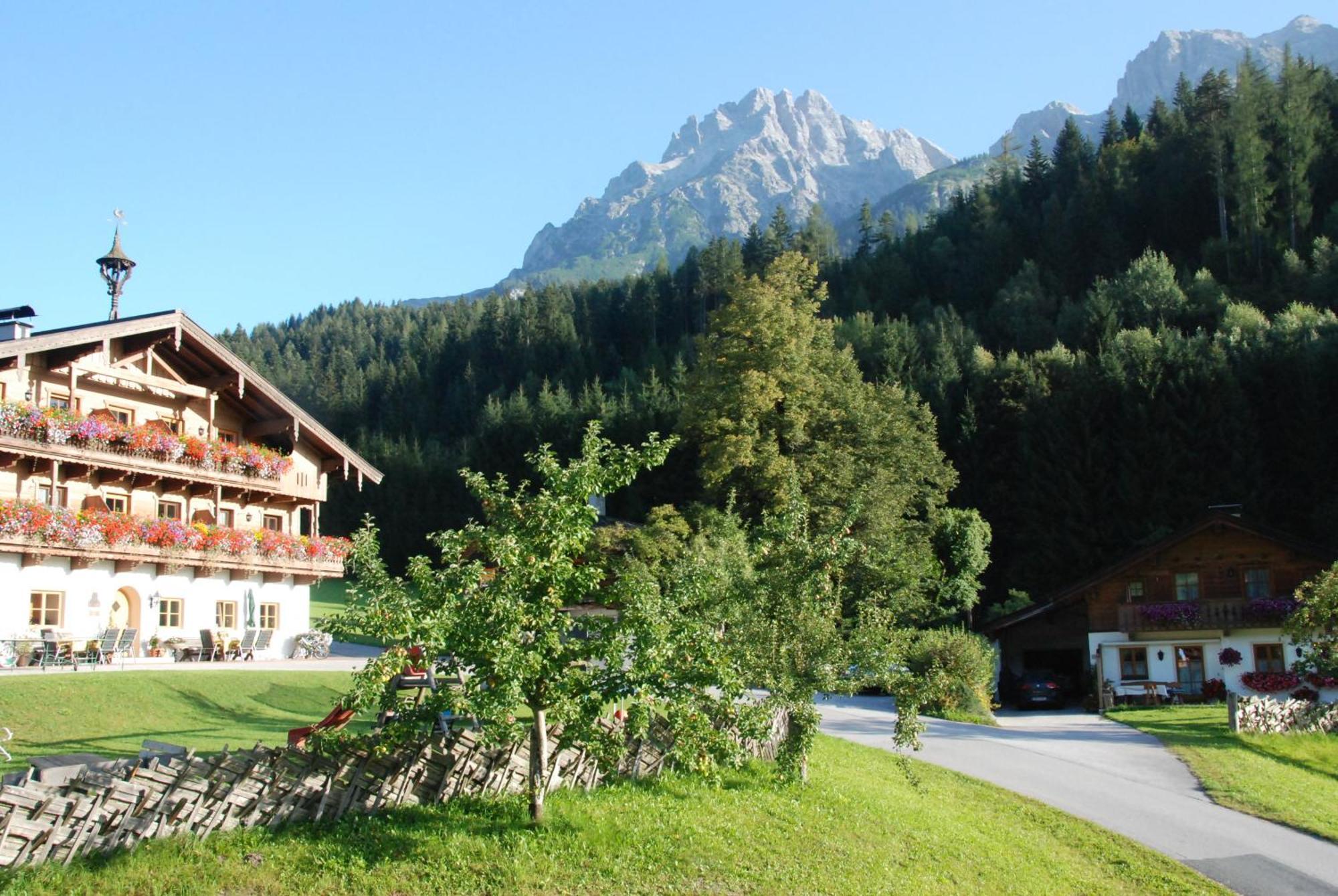 Erbhof Hinterrain Villa Leogang Dış mekan fotoğraf